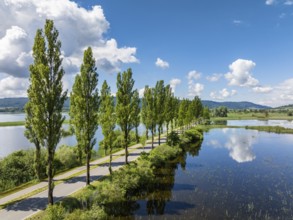 Aerial view of the Mooser Damm with the poplar avenue on the western part of Lake Constance. The