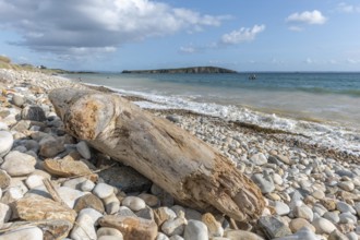 Pebble Beach on the Atlantic coast. Camaret, Crozon, Finistere, Brittany, France, Europe