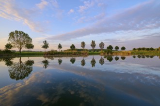 Lake in spring with row of trees and reflection at sunset, Drei Gleichen, Ilm-Kreis, Thuringia,