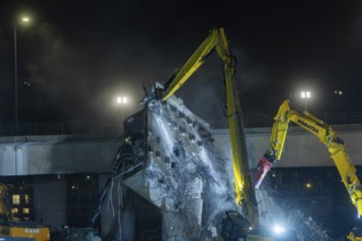 Due to an as yet unknown cause, a section of the Carola Bridge collapsed in the early hours of the