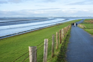 The North Sea coast off Husum, Schleswig-Holstein, Germany, Europe