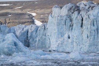 Edge of Negribreen, Stjorfjord, Spitsbergen Island, Svalbard and Jan Mayen archipelago, Norway,