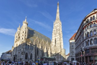 Side view of St Stephen's Cathedral in Vienna with many people in the foreground, Vienna