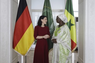 Annalena Bärbock (Alliance 90/The Greens), Federal Foreign Minister, recorded during a meeting with