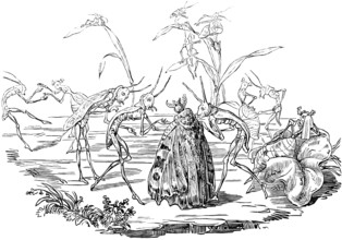 Grasshopper lady being courted by male creatures, romantic scene, parable about the life of men,