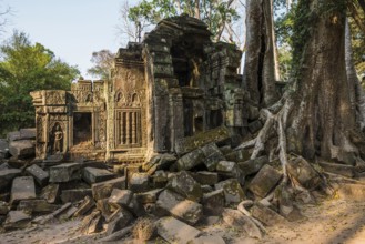 Ta Prohm, Angkor Wat, Angkor, UNESCO World Heritage Site, Siem Reap, Cambodia, Indochina, Southeast