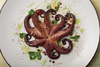 Boiled octopus, close-up, rustic style, no people, top view, close-up