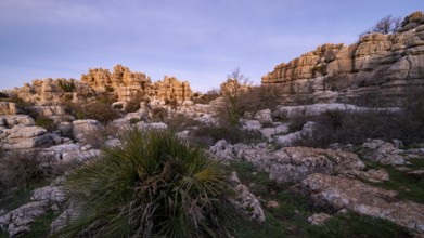 Bizarre limestone rock formations, El Torcal nature reserve, Torcal de Antequera, Malaga province,