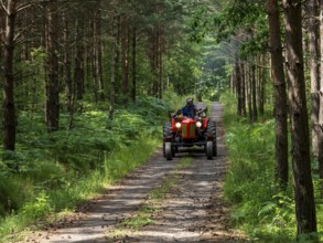 Red tractor on forest road, pine forest, Czech Republic, Europe