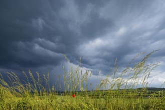 Thunderstorm cell over fields near Krebs in the Osterzgebirge, Krebs, Saxony, Germany, Europe