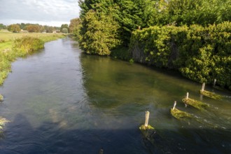 River Coln, village of Fairford, Cotswolds Gloucestershire, England, UK