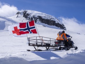 National day 17th May, snowscooter, norwegian flag, near Finse, glacier Hardangerjøkull, Hardanger,