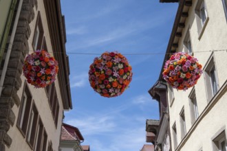 Colourful flower balls decorate the streets of Villingen-Schwenningen, Baden-Württemberg, Germany,