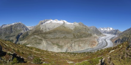 Aletsch glacier, glacier tongue, panorama, climate change, decline, global warming, ice, global