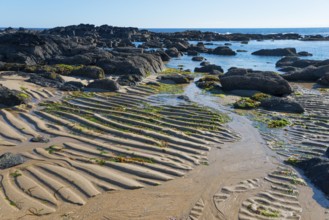 Rocks and sea with sandy wave patterns on the shore under a clear blue sky, Montedor, Viana do