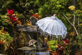 Balinese umbrella, temple, decoration, Jatiluwih, rice terrace, agriculture, farming, Hinduism,