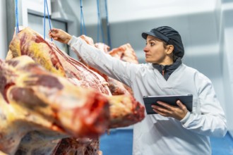 Woman using digital tablet inspecting meat in cold storage room in a meat processing factory