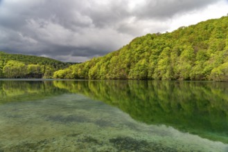 Lake in Plitvice Lakes National Park, Croatia, Europe