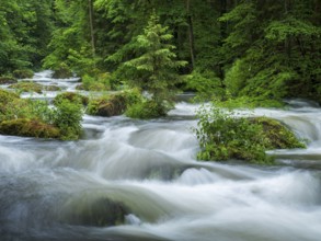 White water and rapids on the Trieb stream in the Triebtal nature reserve in Vogtland, Plauen,