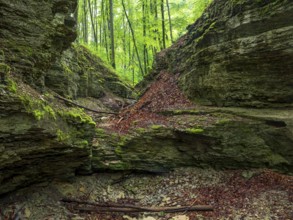 Gorge in the Rautal valley near Jena, Thuringia, Germany, Europe