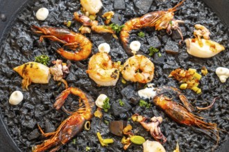Close up of black rice paella with grilled shrimps, squid, and aioli, a typical dish from mallorca,