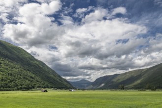 Wide valley with fields, near Otta, Sel municipality, Gudbrandsdalen, Norway, Europe