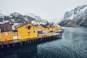 Panorama of Nusfjord authentic fishing village with yellow rorbu houses in Norwegian fjord in