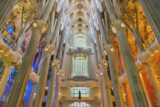 Interior of the Familia Sagrada, religion, Christianity, by the architect Antonio Gaudi in