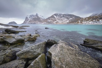 Rocky coast of fjord of Norwegian sea in winter with snow. Haukland beach, Lofoten islands, Norway,