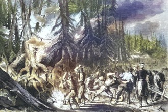 Forest Fire, Fire of a Fir Forest near St. Petersburg, 1869, Russia, Historic, digitally restored