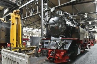 Steam locomotive of the Harz narrow gauge railway for maintenance in the workshop, Wernigerode,
