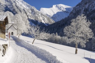 Winter landscape, Gerstruben, a former mountain farming village in the Dietersbach valley near