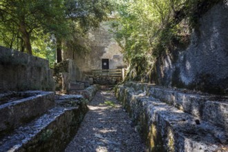 Remains of the medieval monastery of Caluc, Prieuré de Carluc, Cereste, Alpes-de-Haute-Provence