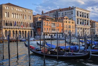 Grand Canal with boats and gondolas on sunset, Venice, Italy, Europe