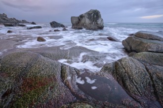 Rocks on beach of fjord of Norwegian sea in winteron sunset. Utakliev beach, Lofoten islands,