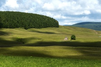 Farm in Cezallier massif, Regional Nature Park of Volcans d'Auvergne, Puy de Dome department,