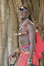 Maasai warrior wearing traditional dress, near Enkutoto, Masai Mara, Rift Valley Province, Kenya,