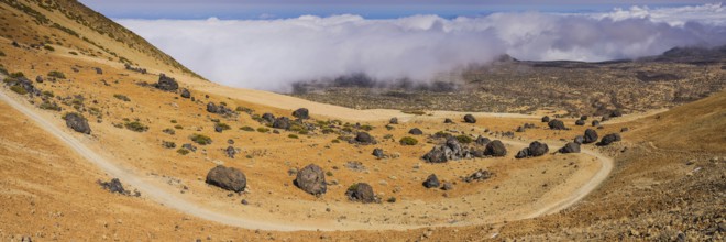 Tenerife National Park, World Heritage Site, Tenerife, Canary Islands, Spain, Europe