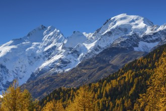 Piz Bernina, 4049 m, Piz Morteratsch, 3751, Biancograt, Upper Engadine, Grisons, Switzerland,