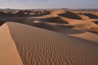 Dunes, Sahara, Merzouga, Meknès-Tafilalet region, Morocco, Africa