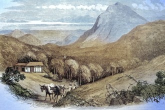 The Bay of Rio de Janeiro as seen from Mont Empereur, 1869, Brazil, Historic, digitally restored