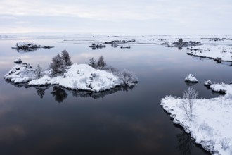 Snow-covered small islands overgrown with bushes in Lake Myvatn, at blue hour, Kalfaströnd, drone