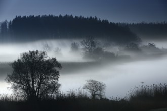 River landscape with ground fog at full moon at night, silhouettes of trees, Alz, Chiemgau,
