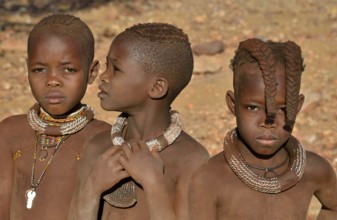 Three Himba girls, portrait, Okongwati, Kaokoland, Kunene, Namibia, Africa