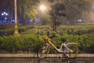 Bicycle in Guangzhou People's Park with mist fog at night. Guangzhou, China, Asia