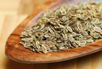 Dillseed (Anethum graveolens) , cucumber herb