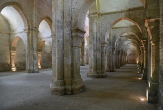 Nave of the Cistercian Abbey of Fontenay, Unesco World Heritage Site, Cote d'Or, Burgundy, France,