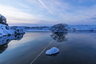 Snow-covered with bushes small island in Lake Myvatn, at blue hour, Kalfaströnd, Northern Iceland