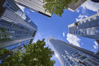 Kronenhochaus, Westend 1, headquarters of DZ Bank and other high-rise buildings from the frog's
