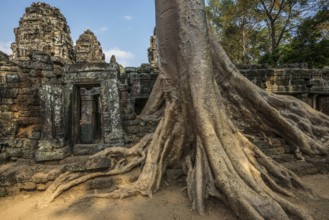 Ta Prohm, Angkor Wat, Angkor, UNESCO World Heritage Site, Siem Reap, Cambodia, Indochina, Southeast